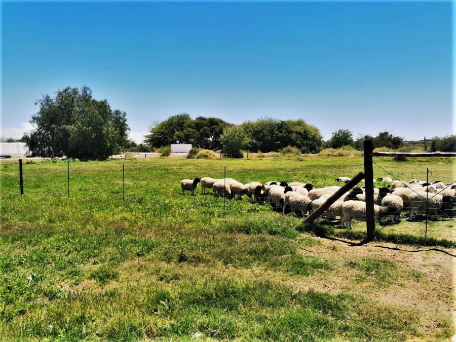 Commercial Property for Sale in Upington Rural Northern Cape